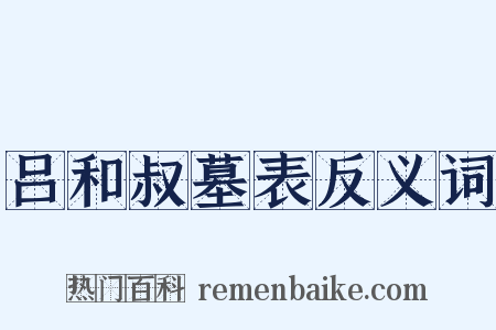 吕和叔墓表反义词是什么意思的图片